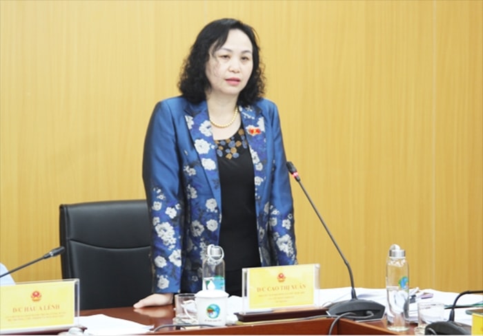 Phó Chủ tịch Hội đồng dân tộc của Quốc hội Cao Thị Xuân - Ủy viên Đoàn giám sát, Tổ trưởng Tổ công tác phát biểu kết luận cuộc họp Phó Chủ tịch Hội đồng dân tộc của Quốc hội Cao Thị Xuân - Ủy viên Đoàn giám sát, Tổ trưởng Tổ công tác phát biểu kết luận cuộc họp