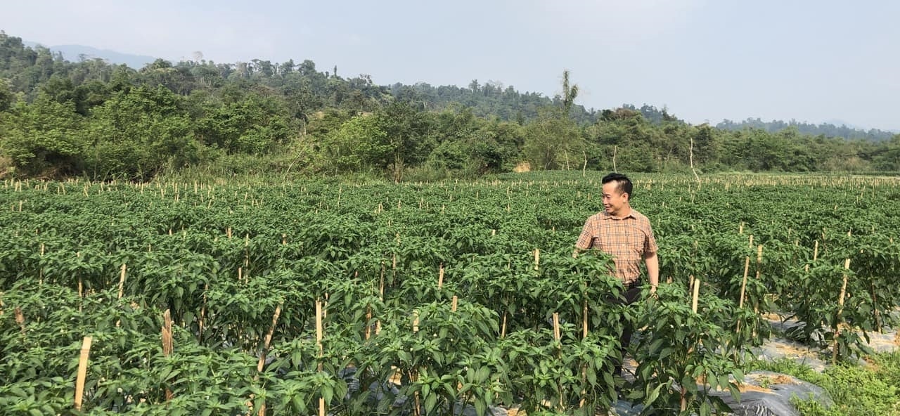 Người dân Lào Cai tích cực tham gia giảm nghèo gắn liền với xây dựng nông thôn mới