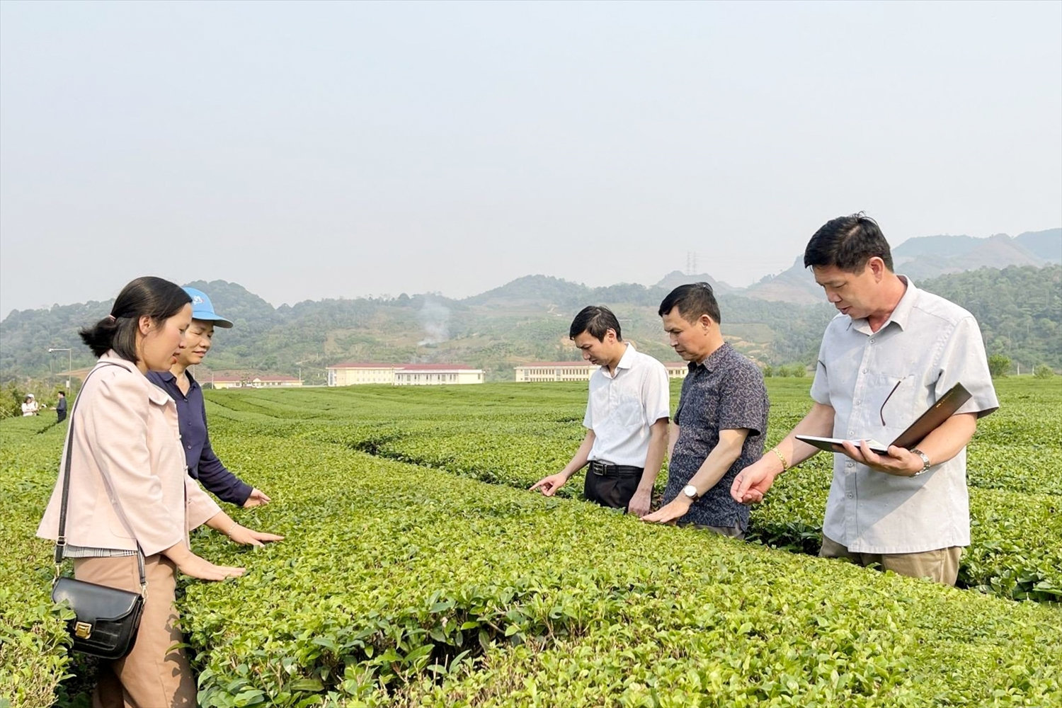 Các đại biểu tham gia quy trình sản xuất chè tại Công ty Chè SATOEN Việt Nam
