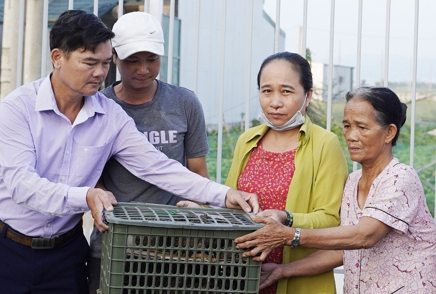 Hỗ trợ gần 10 ngàn con gà giống tạo sinh kế thoát nghèo 