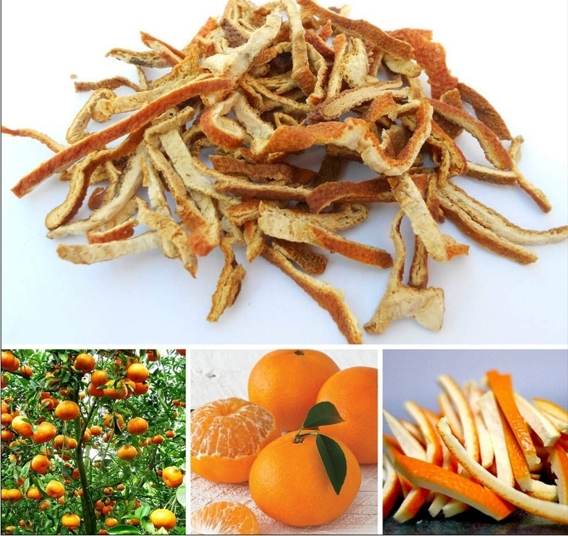 (Tổng hợp) Tác dụng chữa bệnh từ trần bì 4