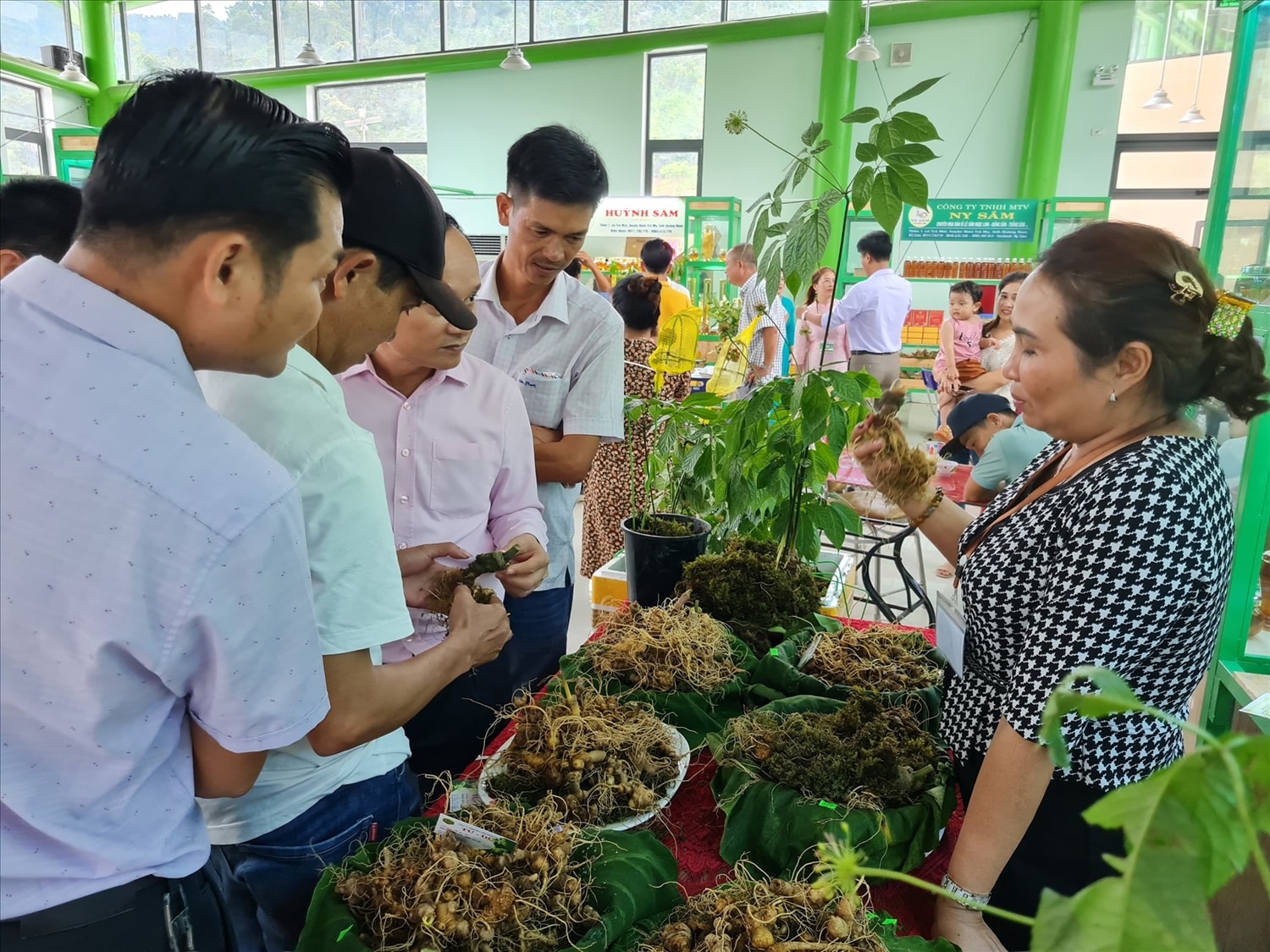 Đông đảo du khách đến thăm quan và mua sắm tại phiên chợ sâm Ngọc Linh được tổ chức hàng tháng tại Nam Trà My Đông đảo du khách đến thăm quan và mua sắm tại phiên chợ sâm Ngọc Linh được tổ chức hàng tháng tại Nam Trà My
