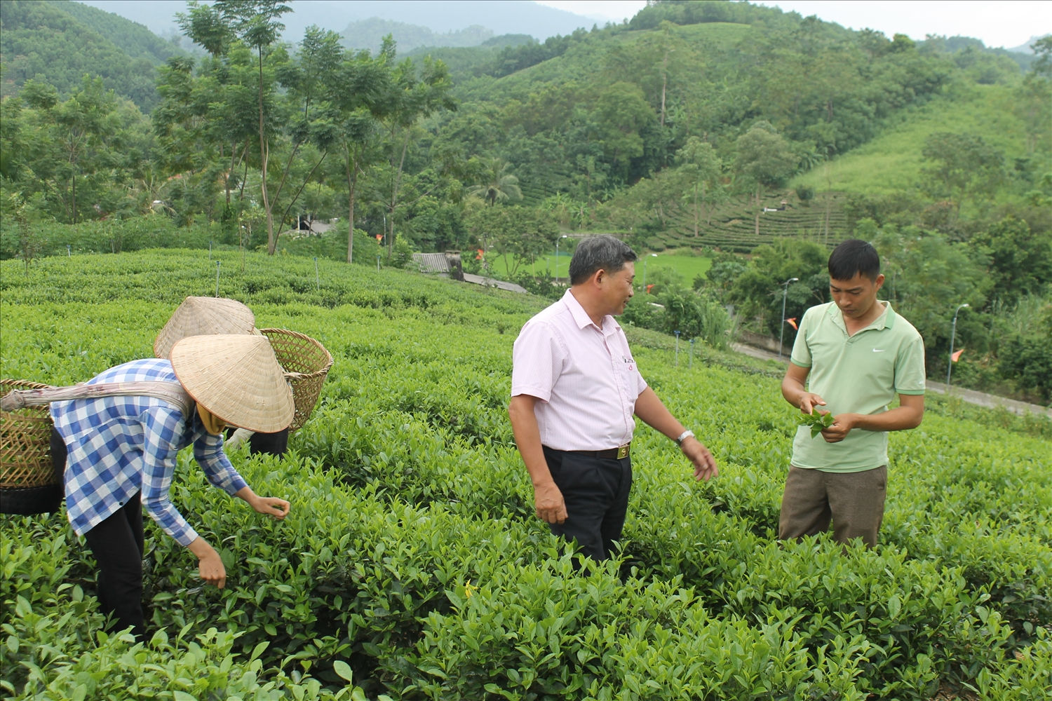4.357 lượt khách hàng được vay vốn trong 3 tháng đầu năm
