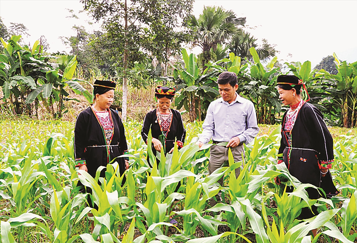 Chương trình MTQG 1719 sẽ góp phần tạo sinh kế, giúp đồng bào DTTS phát triển bền vững.