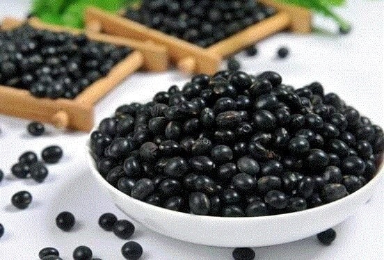 (Tổng hợp) Cách trồng đậu đen đạt năng suất cao 1