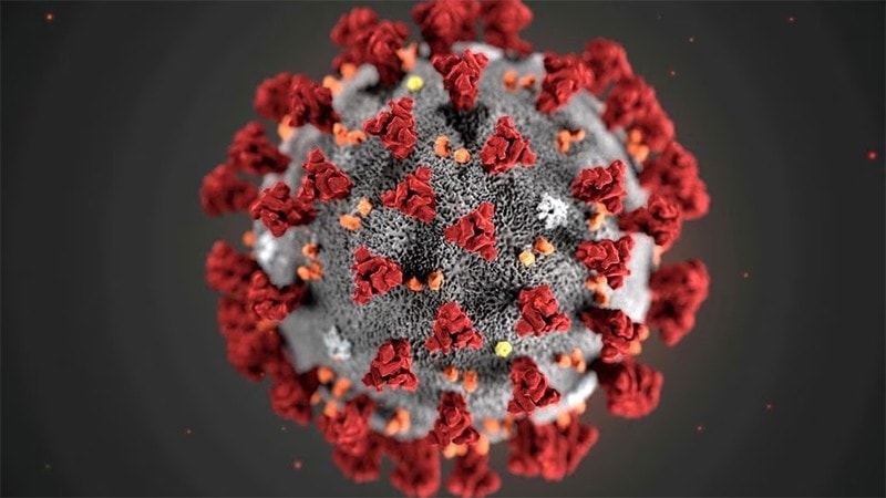 Hình ảnh minh họa virus corona do CDC Mỹ công bố Hình ảnh minh họa virus corona do CDC Mỹ công bố