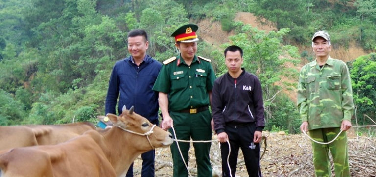 Hỗ trợ bò giống cho các hộ nghèo, khó khăn của tỉnh Lạng Sơn 