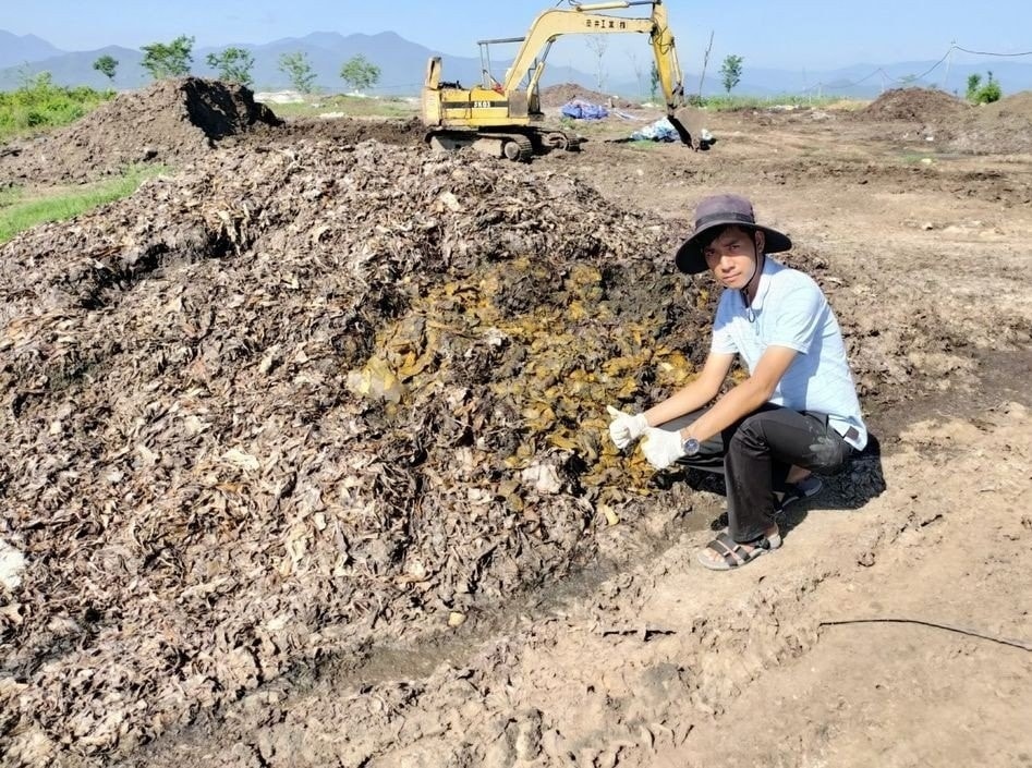 Các trang trại của GC Food Group tận dụng nguồn phế phẩm nông nghiệp từ cây nha đam làm phân bón. Các trang trại của GC Food Group tận dụng nguồn phế phẩm nông nghiệp từ cây nha đam làm phân bón.