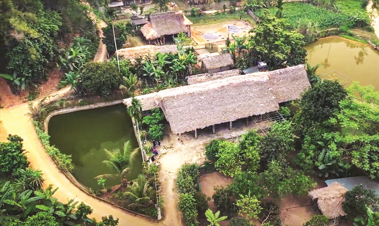  Những mái nhà sàn ở Đồng Hương tạo nên khung cảnh nên thơ  cho bản làng nơi đây.