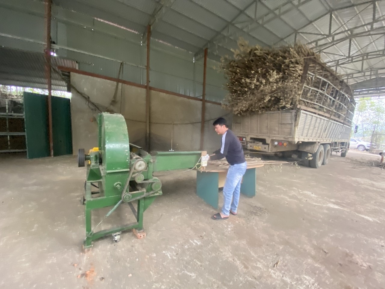 Người dân ở huyện Bá Thước đã mạnh dạn đầu tư máy móc để sơ chế dược liệu Trồng cây dược liệu- Hướng đi mới giúp nông dân vùng cao ở Thanh Hóa xoá đói giảm nghèo 1