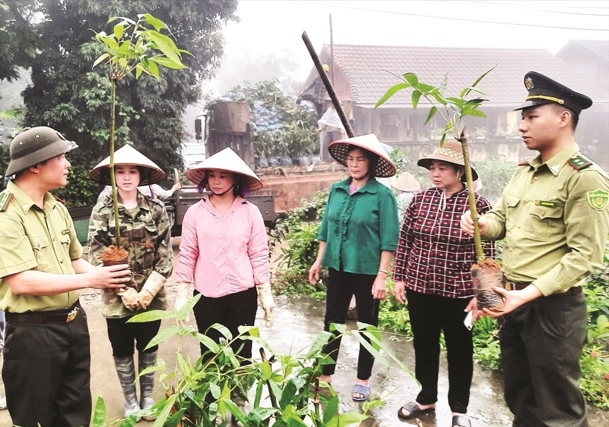 Lãnh đạo Hạt Kiểm lâm huyện Lục Yên tuyên truyền người dân thôn Khau Ca, xã An Phú về cây tre măng Bát Độ. Lãnh đạo Hạt Kiểm lâm huyện Lục Yên tuyên truyền người dân thôn Khau Ca, xã An Phú về cây tre măng Bát Độ.