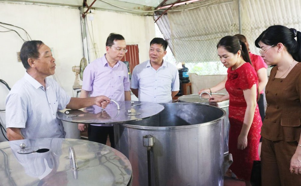 Lãnh đạo Liên minh HTX các tỉnh Bắc Giang và Thái Nguyên tham quan mô hình sản xuất cao từ thảo mộc của HTX Dược liệu Thiện Tâm, xã Tân Hiệp, huyện Yên Thế. (Ảnh Int) Lãnh đạo Liên minh HTX các tỉnh Bắc Giang và Thái Nguyên tham quan mô hình sản xuất cao từ thảo mộc của HTX Dược liệu Thiện Tâm, xã Tân Hiệp, huyện Yên Thế. (Ảnh Int)