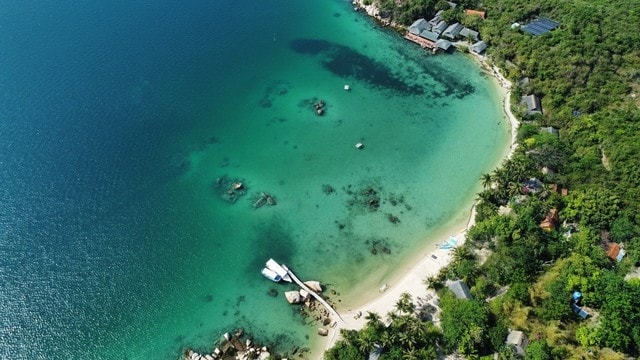 Whale Island Resort là điểm đến lý tưởng cho những ai muốn trở về với thiên nhiên!