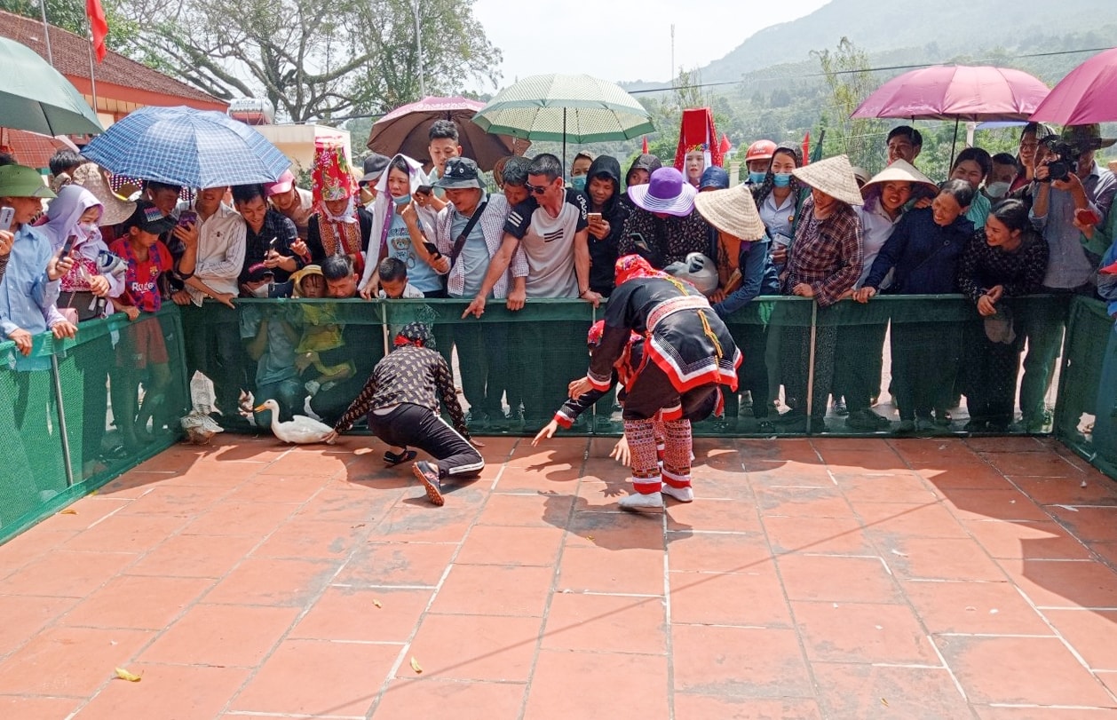Trò chơi bắt vịt thu hút đông đảo người tham gia hưởng ứng Trò chơi bắt vịt thu hút đông đảo người tham gia hưởng ứng