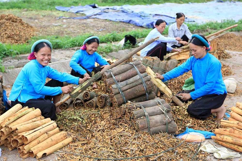 Quảng Ninh là một trong số ít địa phương trong cả nước triển khai sớm  và đạt hiệu quả chương trình mục tiêu quốc gia phát triển kinh tế-xã hội vùng đồng bào DTTS và miền núi