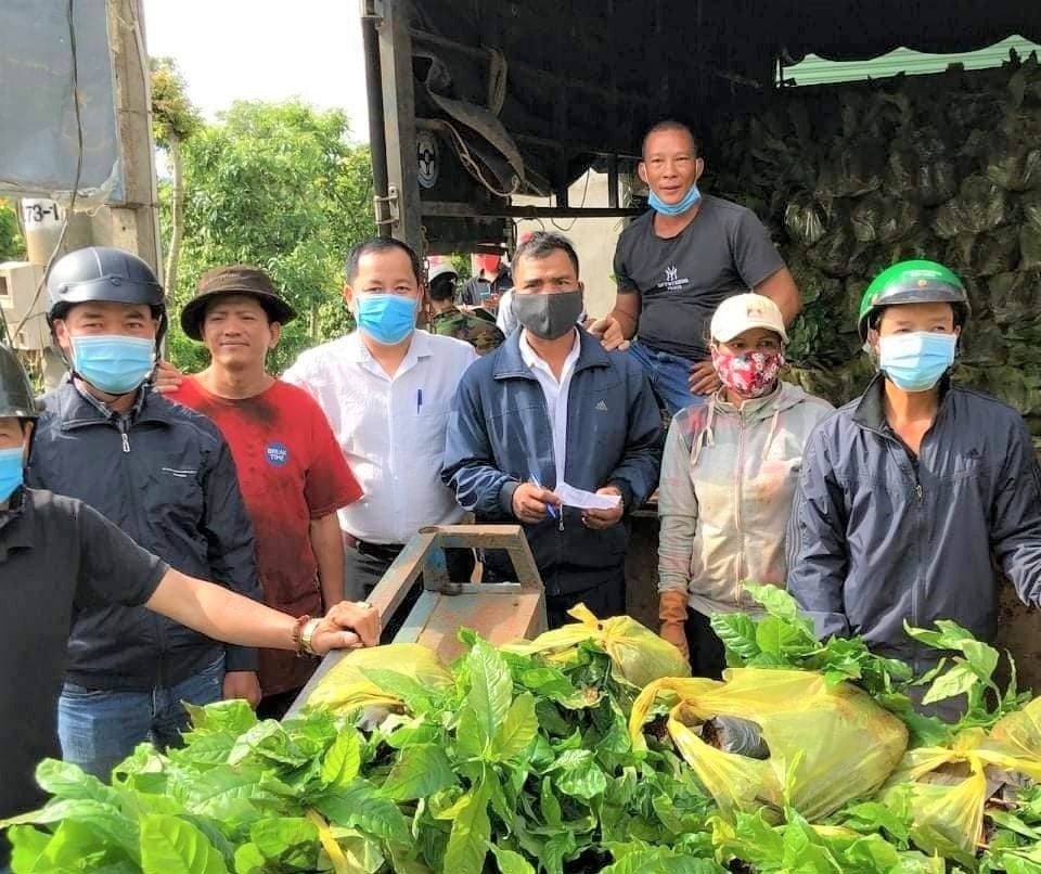 Hội viên nông dân mua cây giống tái canh vườn cà phê