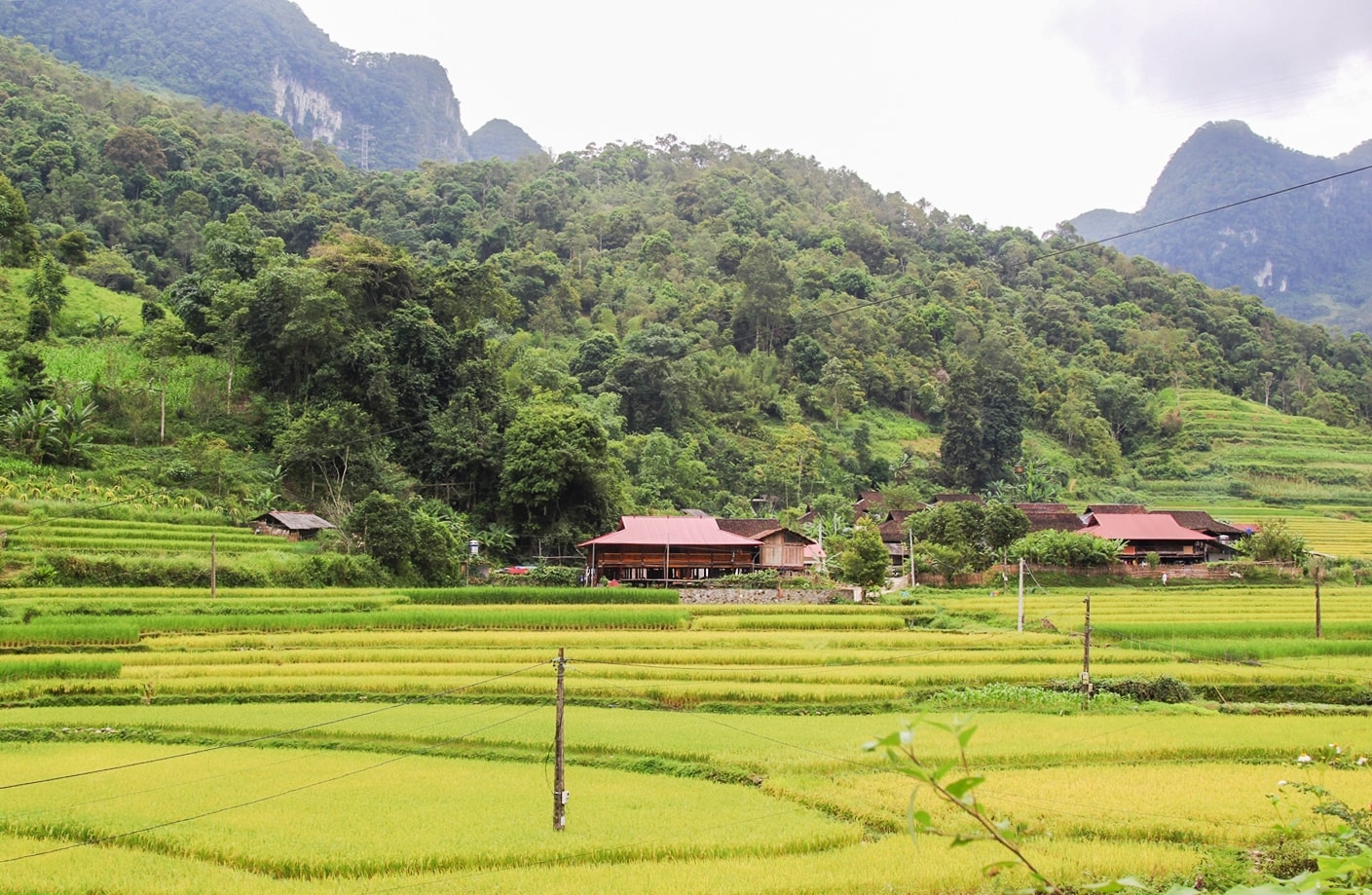 Tăng cường các hoạt động kiểm tra, giám sát để kịp thời tháo gỡ vướng mắc trong quá trình thực hiện chương trình Tăng cường các hoạt động kiểm tra, giám sát để kịp thời tháo gỡ vướng mắc trong quá trình thực hiện chương trình