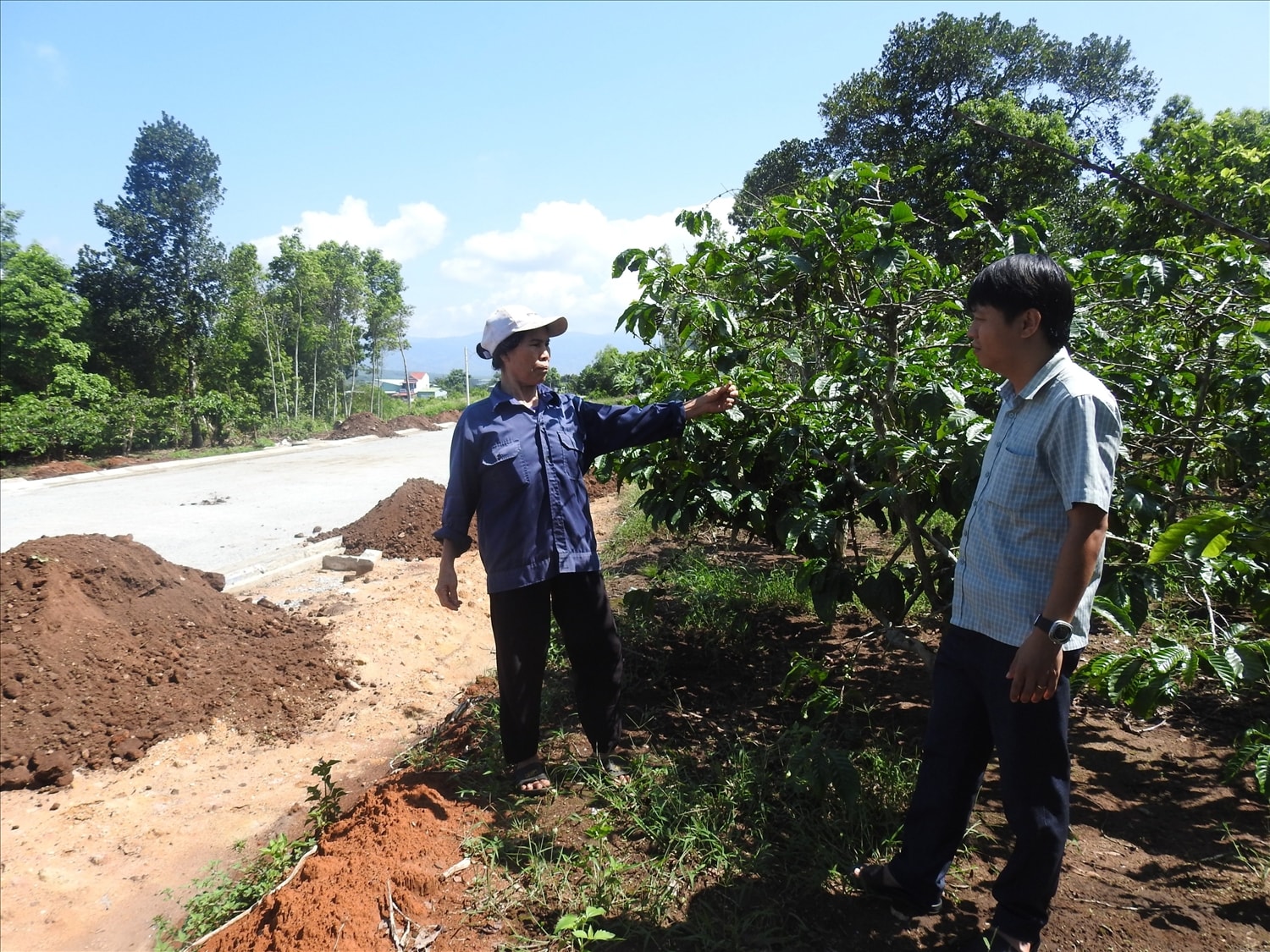 Bà Bùi Thị Thông trong vườn cà phê và phần đất còn lại của gia đình