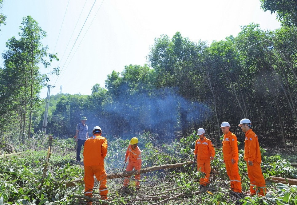 công tác giải phónghành lang an toàn lưới điện  trên địa bàn thị trấn Thường Xuân