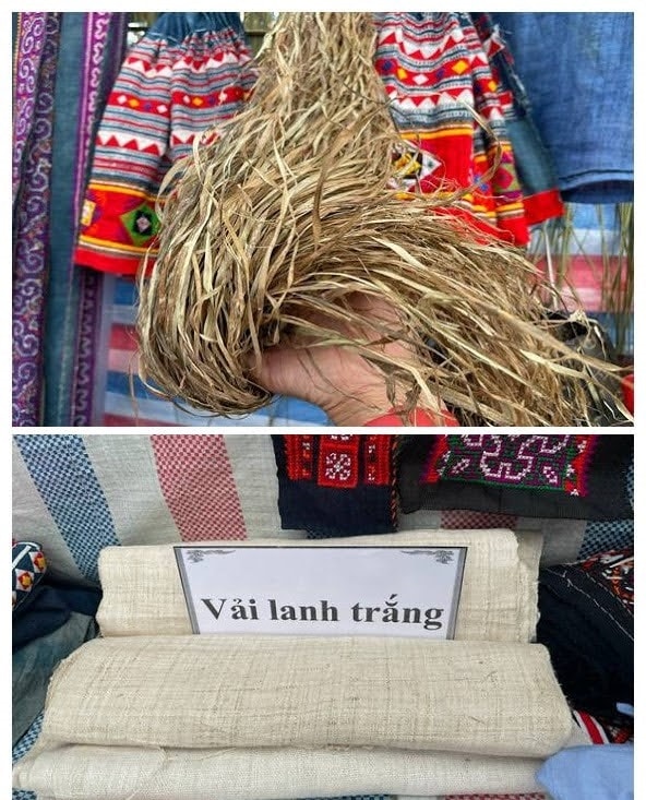 Nguyên liệu để người Mông làm ra vải lanh (ảnh dưới) may trang phục chính là cây lanh (ảnh trên)