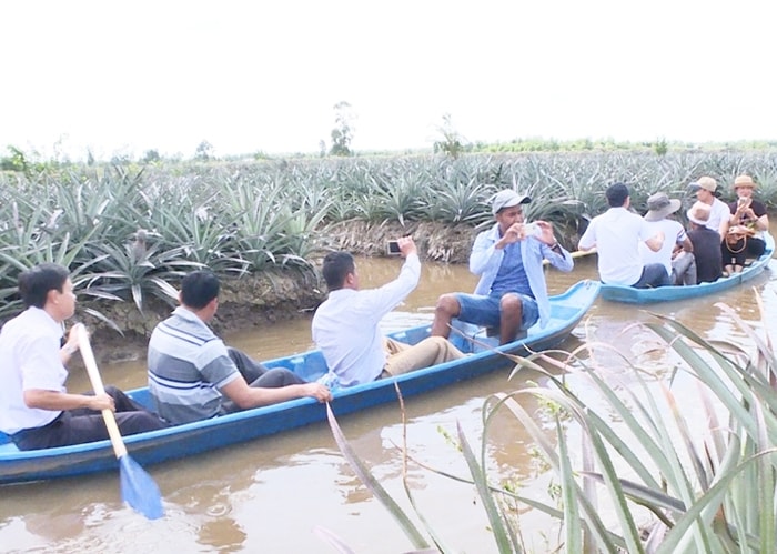 Du Lịch cộng động làm nền tảng để nông dân hòa nhập chuyển đổi số