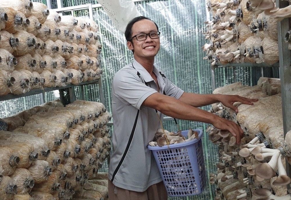 Các sản phẩm của HTX Nấm Tam Đảo ngày càng được người tiêu dùng ưa chuộng, sử dụng. Các sản phẩm của HTX Nấm Tam Đảo ngày càng được người tiêu dùng ưa chuộng, sử dụng.