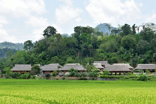 Nhà sàn ở Tân Trào, Sơn Dương tạo cảnh quan đẹp, đặc trưng thu hút khách du lịch.