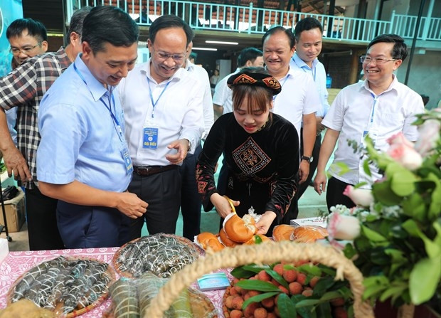 Các đại biểu tham quan và thưởng thức các sản phẩm được chế biến từ quả vải. (Ảnh: Danh Lam/TTXVN)