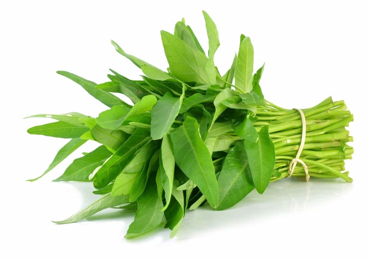 (Tổng hợp) Bài thuốc từ cây rau muống 1