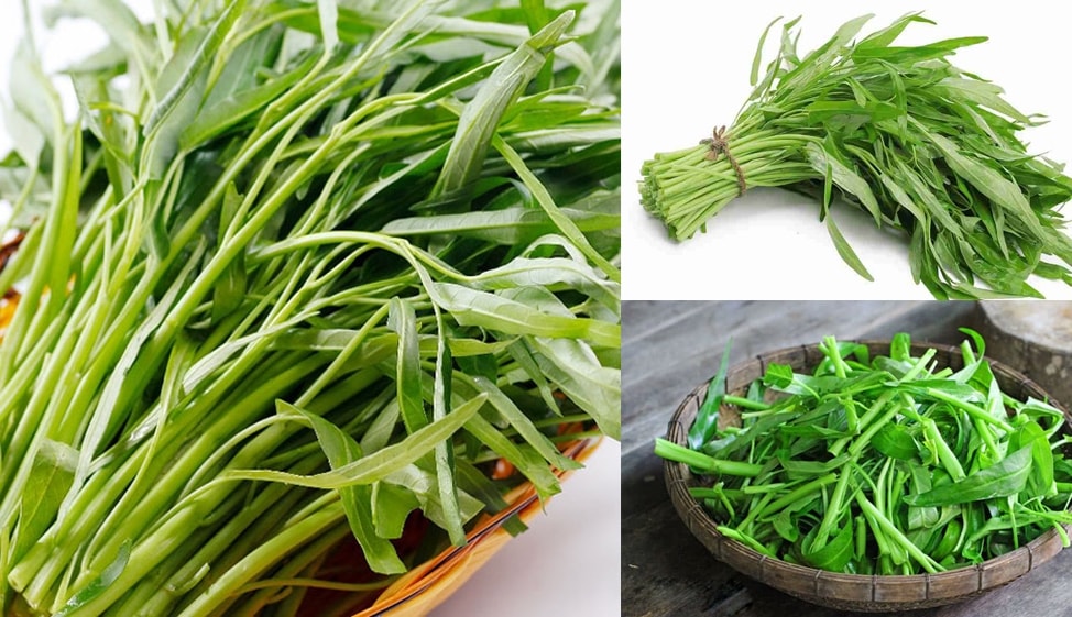(Tổng hợp) Bài thuốc từ cây rau muống