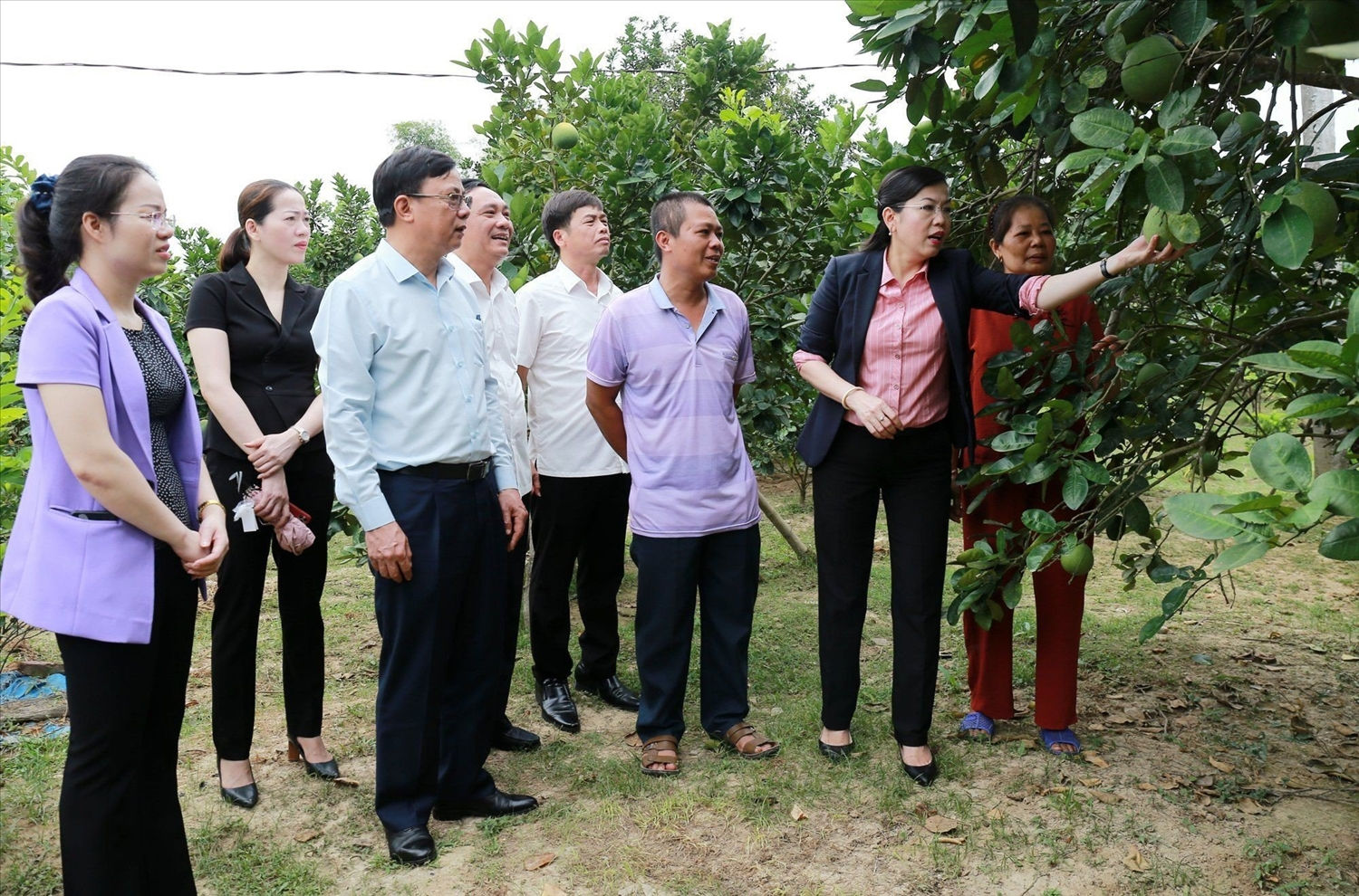 Đồng chí Nguyễn Thanh Hải, Bí thư tỉnh ủy Thái Nguyên và lãnh đạo huyện Võ Nhai thăm mô hình trồng bưởi diễn tại xã Tràng xá, huyện Võ Nhai. Đồng chí Nguyễn Thanh Hải, Bí thư tỉnh ủy Thái Nguyên và lãnh đạo huyện Võ Nhai thăm mô hình trồng bưởi diễn tại xã Tràng xá, huyện Võ Nhai.