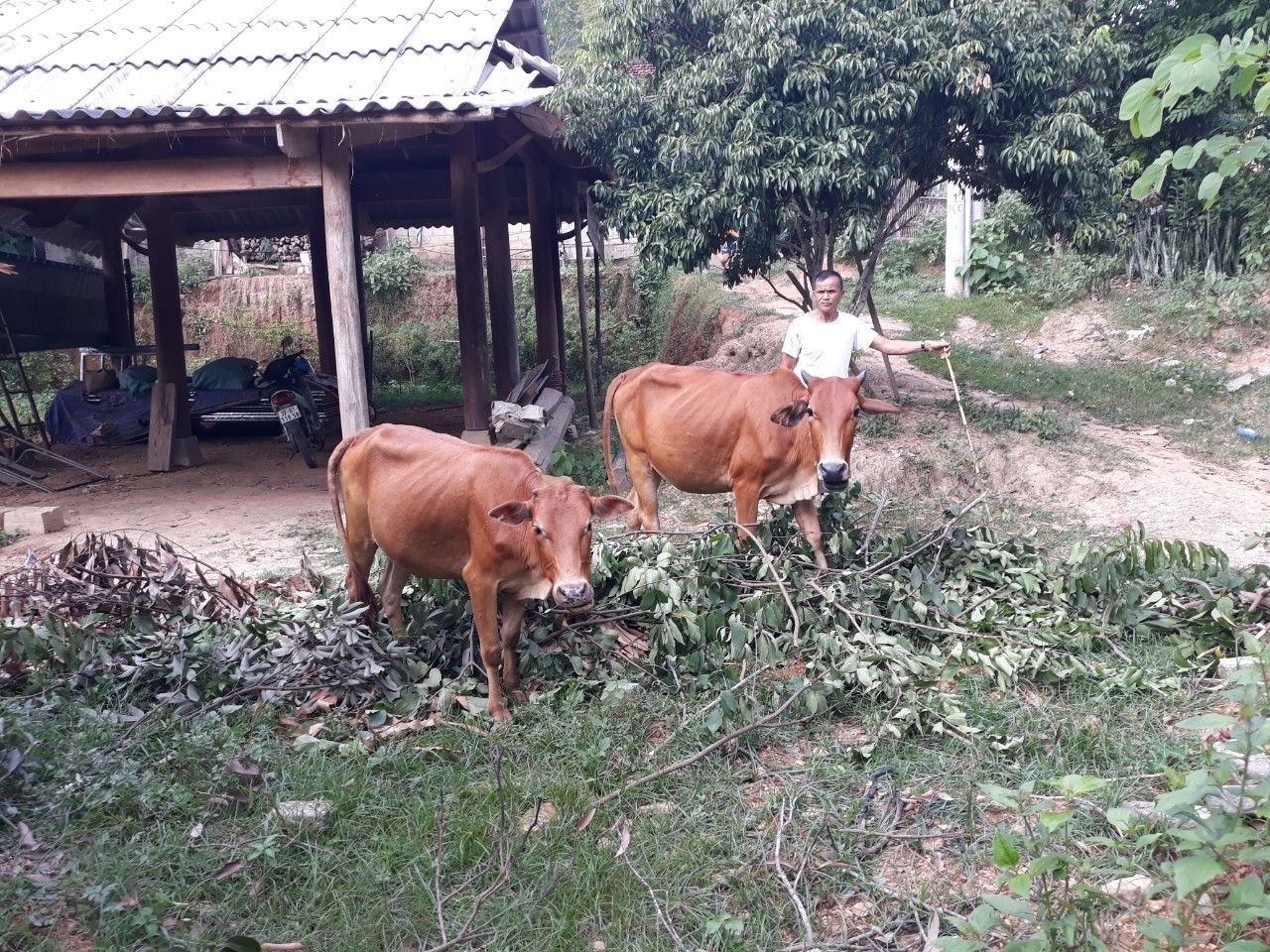 Tỉnh Nghệ An sẽ bố trí đủ nguồn vốn đối ứng 3 cấp cho các đơn vị nhằm thực hiện hiệu quả chương trình MTQG
