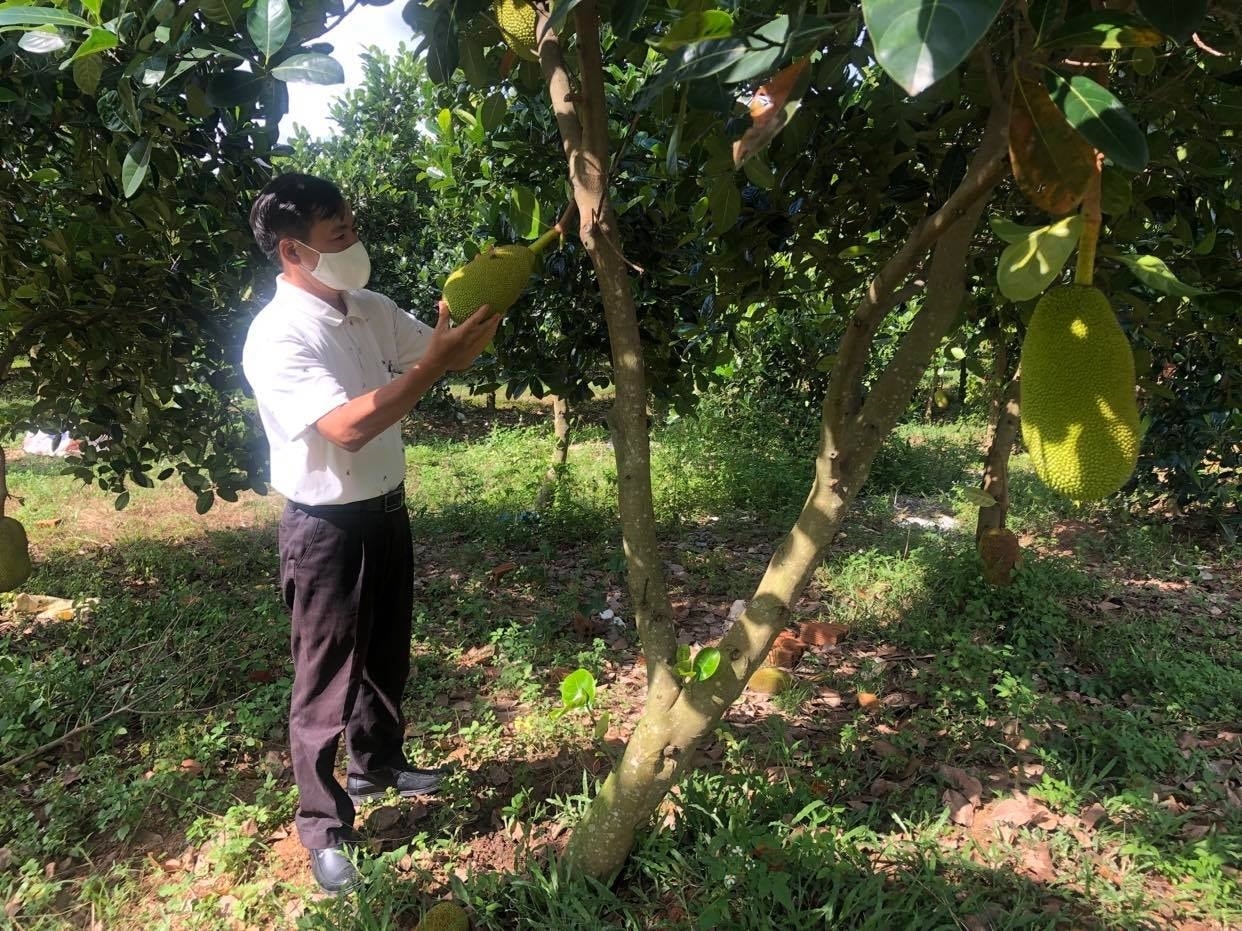Thay đổi nếp nghĩ, người dân xã Đắk Drông từng bước phát triển kinh tế Thay đổi nếp nghĩ, người dân xã Đắk Drông từng bước phát triển kinh tế