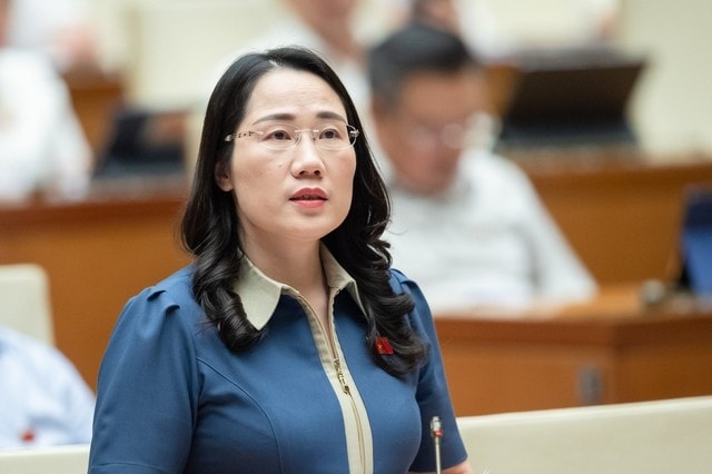Tại thảo luận về báo cáo kinh tế - xã hội diễn ra vào ngày 31/5, đại biểu Nguyễn Thị Thủy đã kiến nghị Bộ Tài chính thanh tra toàn diện bảo hiểm nhân thọ, trong đó tập trung vào loại hình bảo hiểm liên kết đầu tư