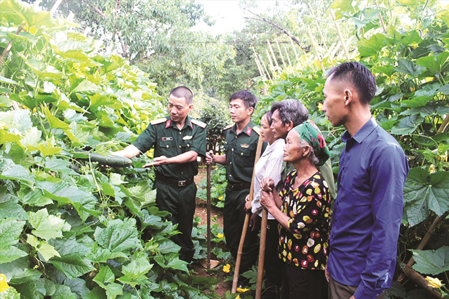 Cán bộ, nhân viên Đoàn Kinh tế - Quốc phòng 4 hướng dẫn Nhân dân xã Na Ngoi, huyện Kỳ Sơn  trồng bí cao sản.