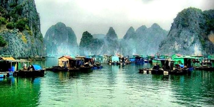 Làng chài Cửa Vạn (Quảng Ninh) là một trong những điểm vô cùng hấp dẫn, nằm giữa vịnh Hạ Long và vịnh Lan Hạ.