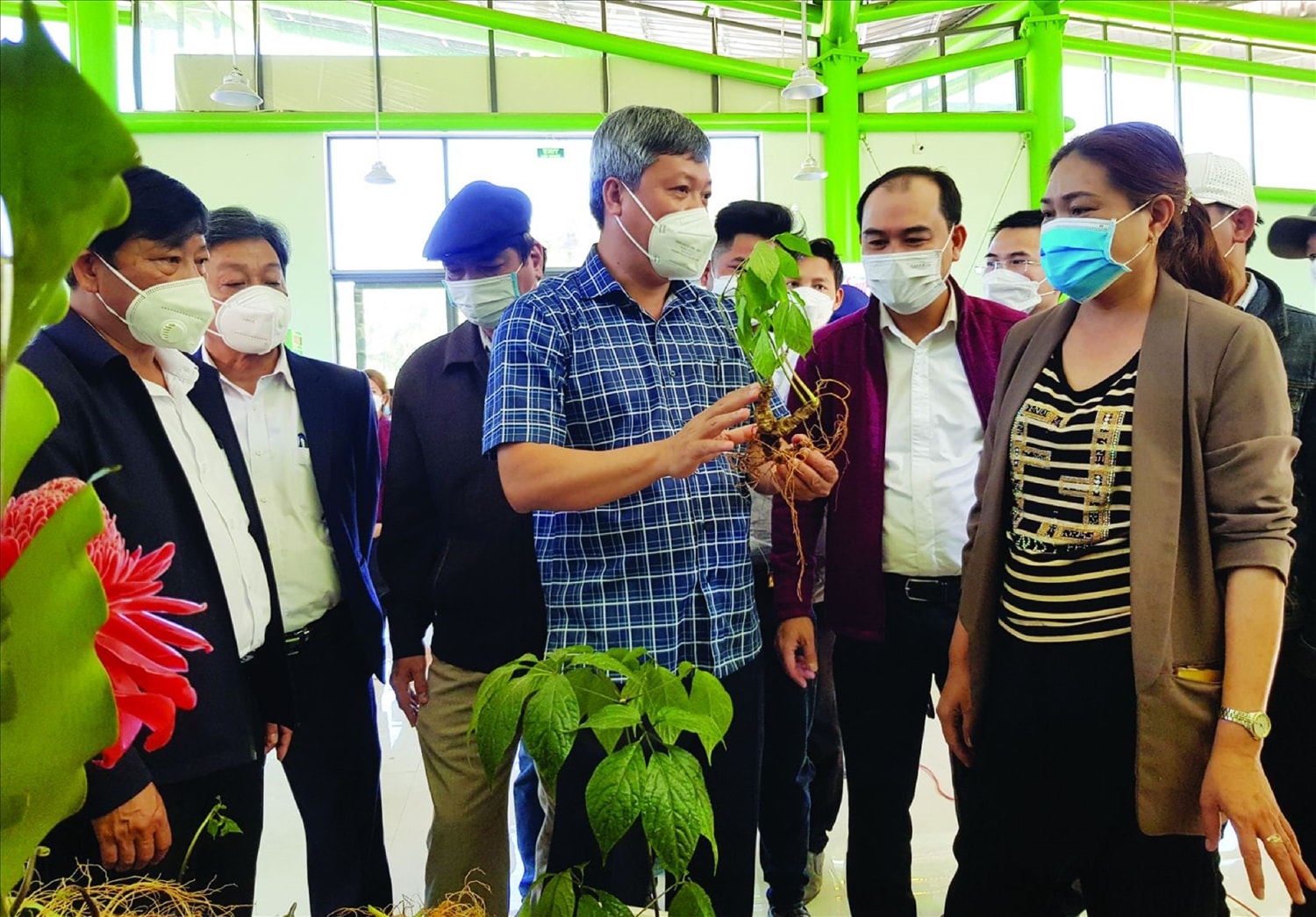 Các phiên chợ sâm Ngọc Linh được tổ chức hàng tháng tại huyện Nam Trà My, mang lại nguồn lợi kinh tế lớn cho địa phương. Các phiên chợ sâm Ngọc Linh được tổ chức hàng tháng tại huyện Nam Trà My, mang lại nguồn lợi kinh tế lớn cho địa phương.