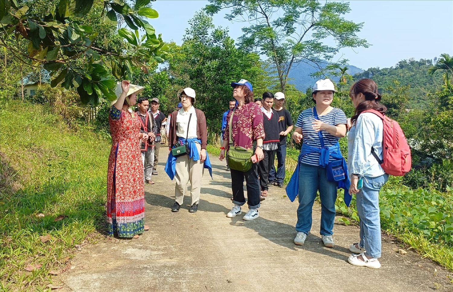 Nhiều du khách thích thú được trải nghiệm những cánh rừng nguyên sinh, các vườn sâm và cây dược liệu để khảo sát, tìm hiểu về sự đa dạng sinh học, quy trình và cách thức trồng, chăm sóc, khai thác, chế biến các loại dược liệu. Nhiều du khách thích thú được trải nghiệm những cánh rừng nguyên sinh, các vườn sâm và cây dược liệu để khảo sát, tìm hiểu về sự đa dạng sinh học, quy trình và cách thức trồng, chăm sóc, khai thác, chế biến các loại dược liệu.