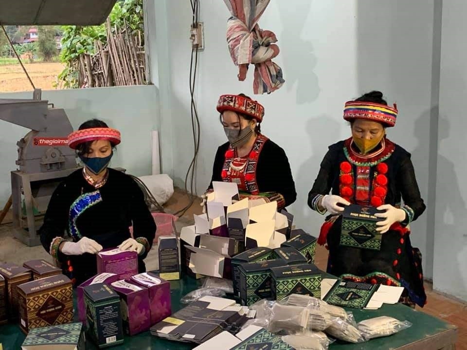 HTX Thiên Ân tập trung phát triển sản phẩm từ dược liệu và thổ cẩm, mang lại hiệu quả kinh tế cao HTX Thiên Ân tập trung phát triển sản phẩm từ dược liệu và thổ cẩm, mang lại hiệu quả kinh tế cao
