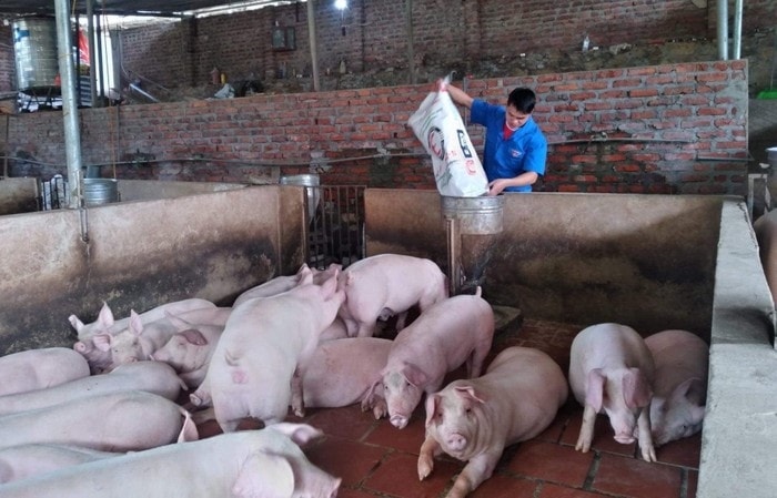 Nhờ hướng phát triển đúng đắn, anh Mã Văn Thuần và cộng sự đã tạo ra nhiều công ăn việc làm cho người dân địa phương, giúp họ từng bước thoát nghèo. Nhờ hướng phát triển đúng đắn, anh Mã Văn Thuần và cộng sự đã tạo ra nhiều công ăn việc làm cho người dân địa phương, giúp họ từng bước thoát nghèo.