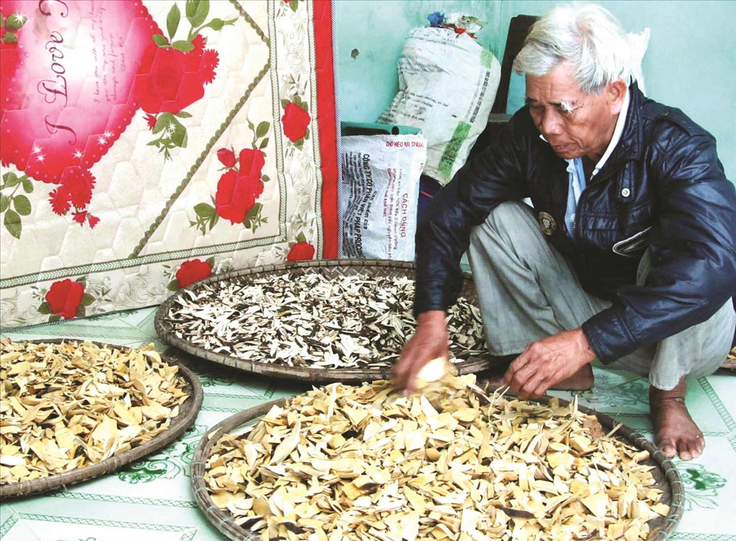 Già làng La Chí Thái, không chỉ có công vận động người dân giữ gìn văn hóa truyền thống mà còn là thầy thuốc  chữa bệnh cho người dân.