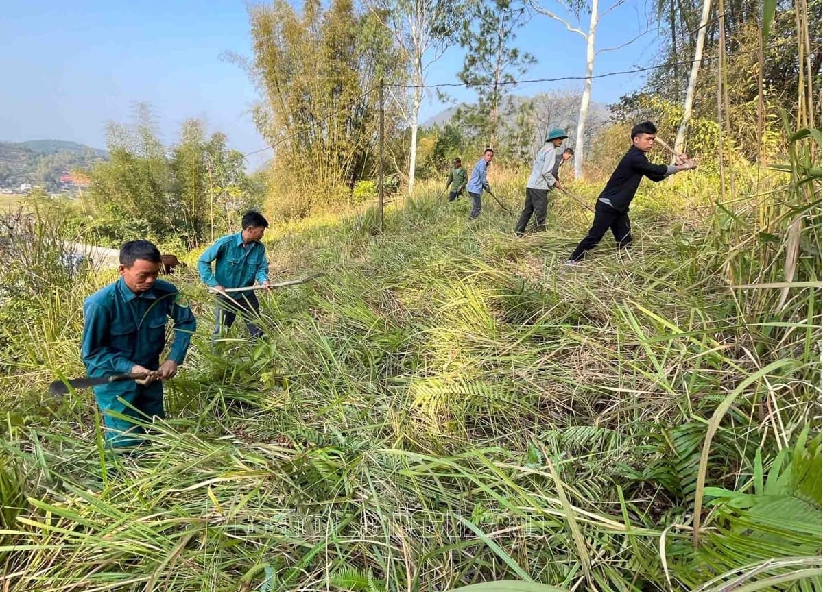 Khi được giao rừng, cấp giấy chứng nhận quyền sử dụng rừng, rất nhiều cộng đồng dân cư đã xây dựng được quy ước quản lý, bảo vệ rừng rất cụ thể, các hoạt động quản lý bảo vệ rừng đã trở thành nề nếp. (Trong ảnh: Người dân bản Đắc, xã Hua Nà, huyện Than Uyên, Lai Châu phát dọn thực bì, đường băng cản lửa - Nguồn: baolaichau.vn)