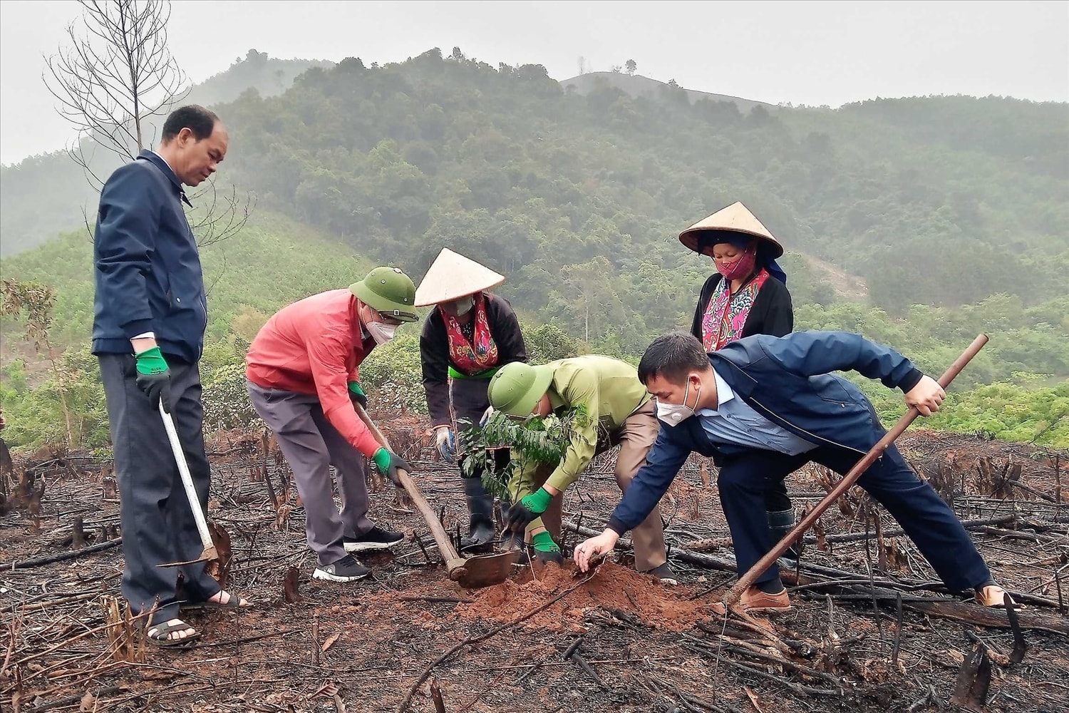 Do không phải là một pháp nhân nên khi được giao rừng, cộng đồng dân cư không có cơ hội hay đủ các điều kiện để tiếp cận các nguồn tín dụng để trồng rừng sản xuất. (Ảnh minh họa)