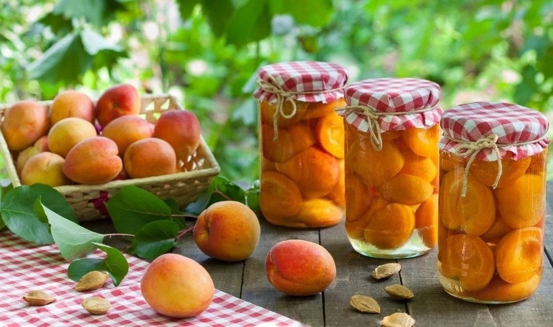 (Tổng hợp) Bài thuốc chữa bệnh từ quả mơ 2