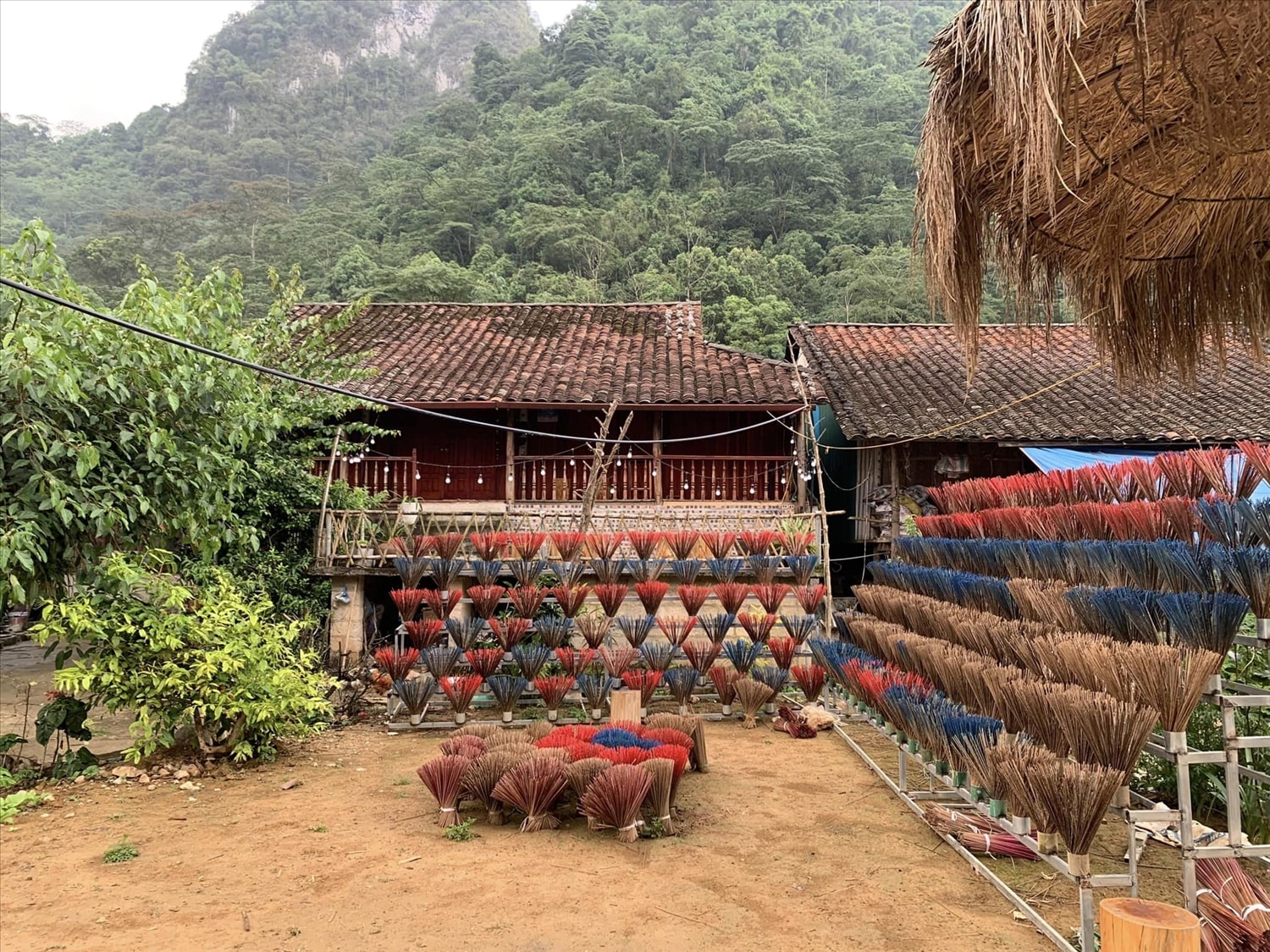 Que hương sau khi phơi khô sẽ được nhuộm chân màu đỏ rồi lại đem phơi tiếp trước khi được buộc thành từng bó đem bán ở các chợ phiên.