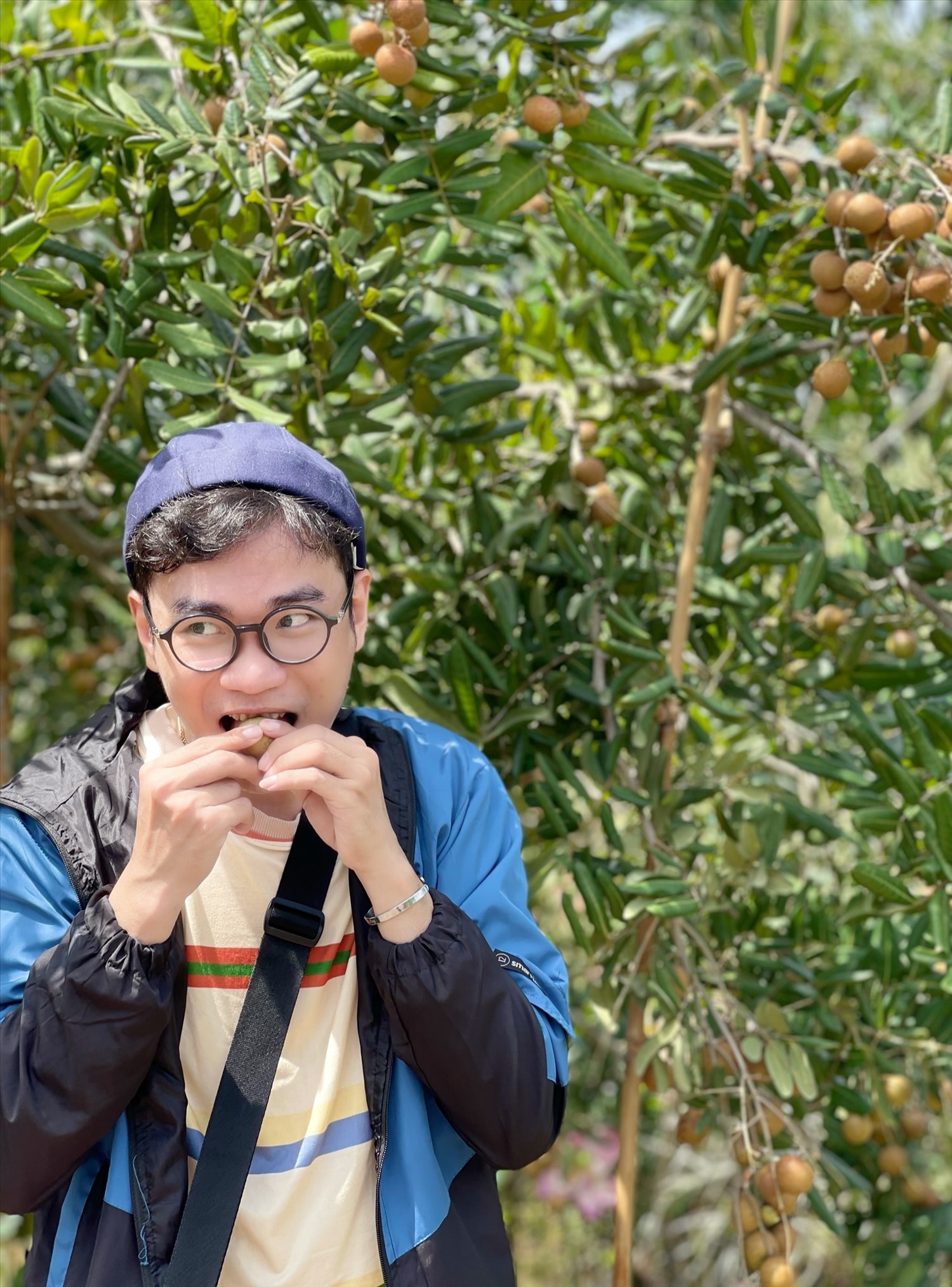 Thưởng thức nhãn Cồn Sơn