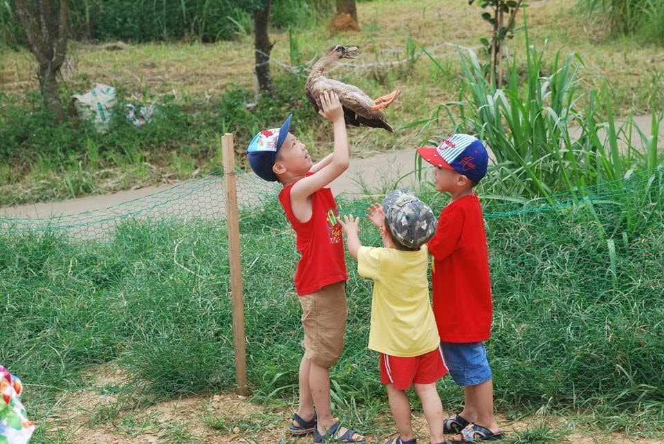 Các hoạt động trải nghiệm nông trại sinh thái ngày càng được chú trọng đầu tư