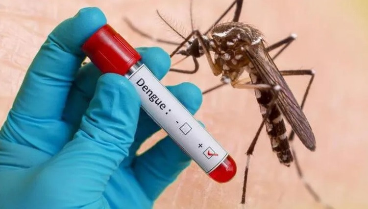 (Tổng hợp) Hướng dẫn chẩn đoán, điều trị sốt xuất huyết Dengue 1
