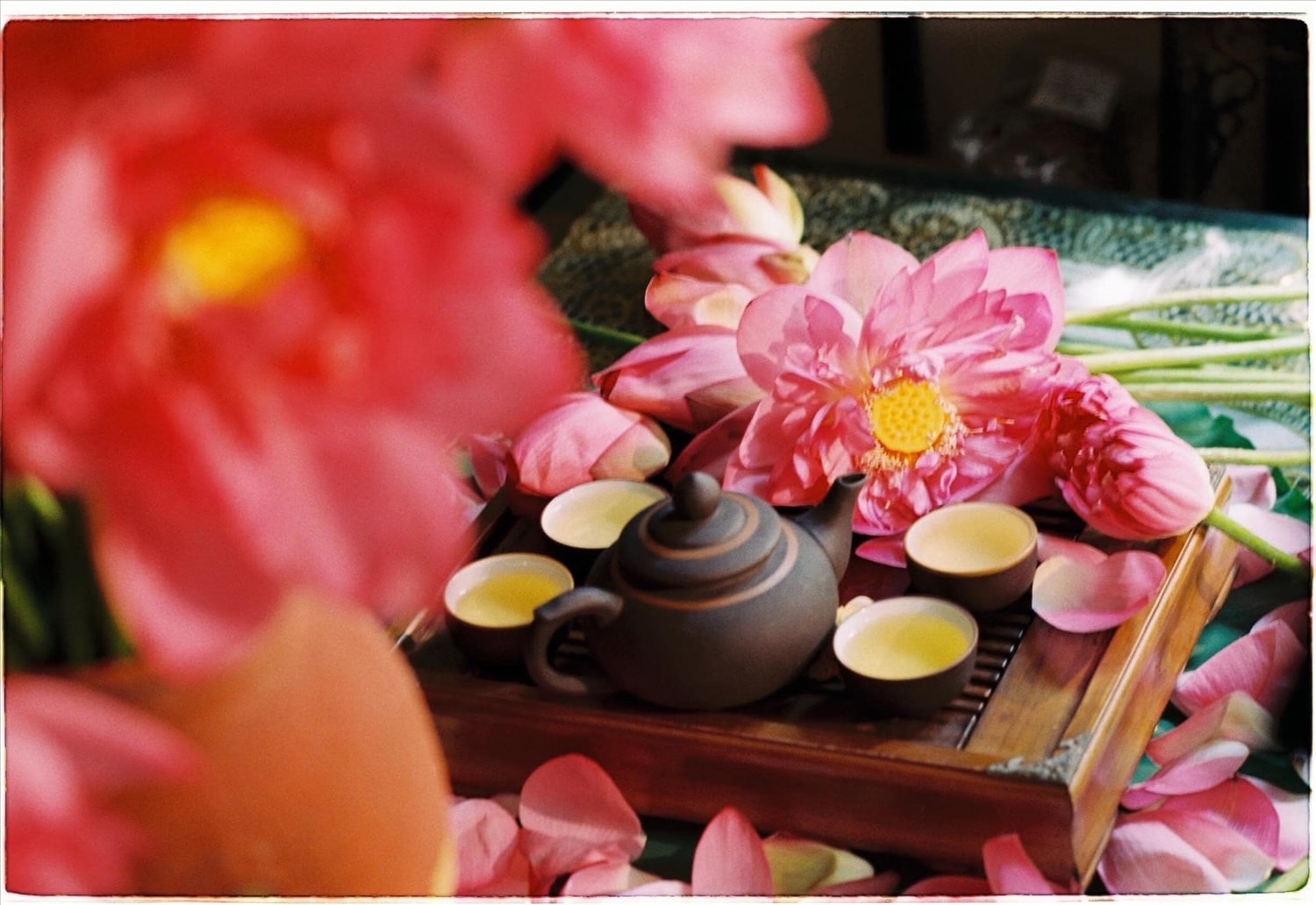 Thanh tao hương vị trà sen 