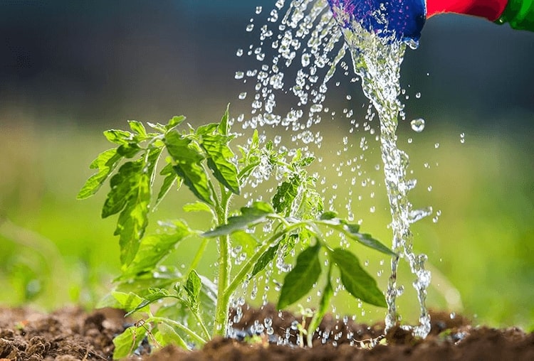 (Tổng hợp) Hà Nội: Hỗ trợ giá nước sạch đối với các hộ nghèo, gia đình chính sách 1